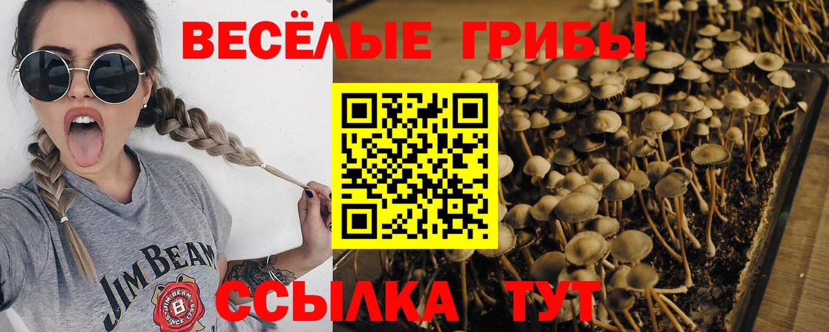 Галлюциногенные грибы Magic Shrooms  Вход с VPN  хочу   Чусовой 
